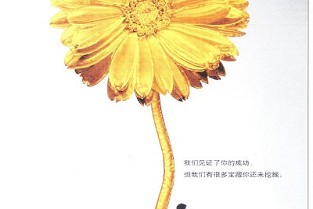 嘉定城区二手房 胶南烟台东租房